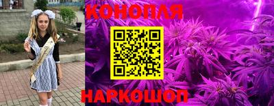 стаф Шахты