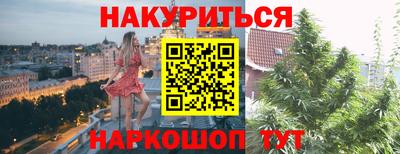 стаф Шахты