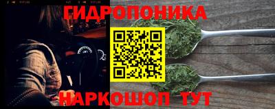 стаф Шахты