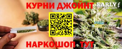 стаф Шахты