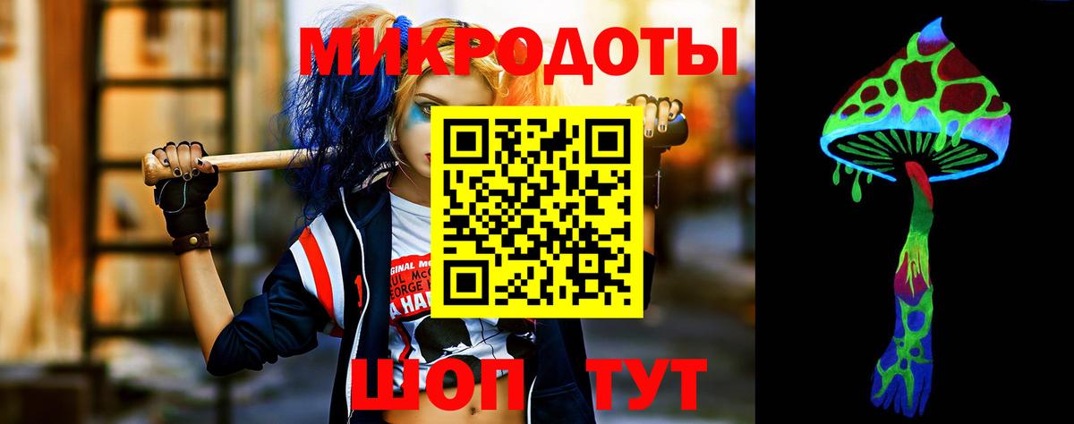 Псилоцибиновые грибы прущие грибы Тверь